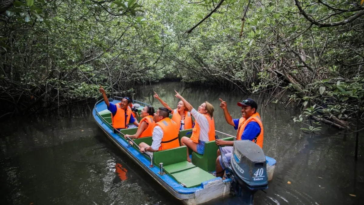 Mangrove Nature Tour